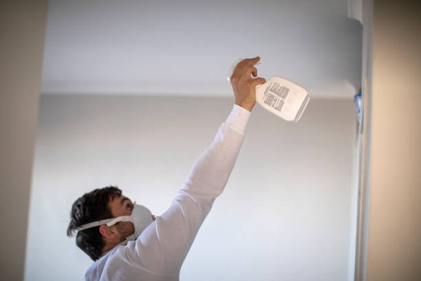 Best Crawl Space Mold Removal  in Clermont, FL